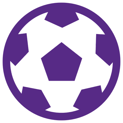 Tor Icon