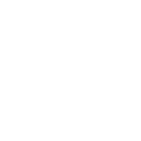 Tor Icon