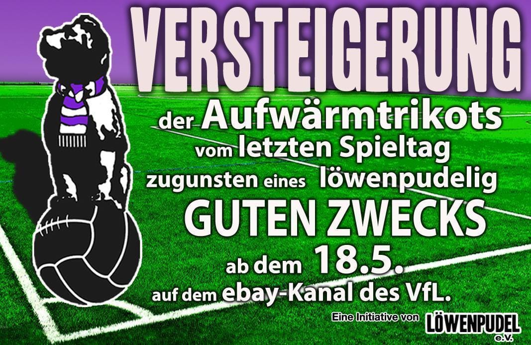 Das Löwenpudel-Aufwärmtrikot