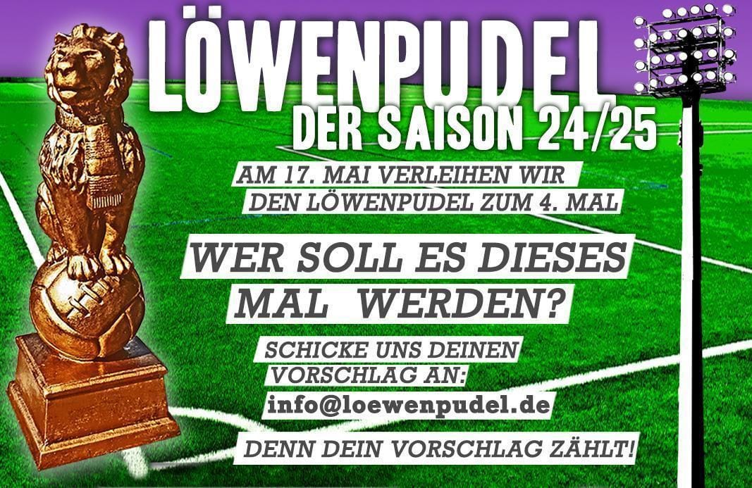Gesucht: der Löwenpudel der Saison